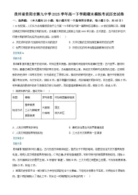 2024—2025学年贵州省贵阳市第九中学高一第二学期期末考试历史试题（含答案）