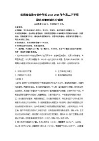 云南省临沧市部分学校2024-2025学年高二下学期期末质量测试历史试卷（解析版）