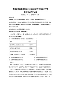 青海省海南藏族自治州2024-2025学年高二下学期期末考试历史试卷（解析版）