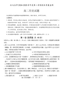 河南省驻马店市2024-2025年高二下期末历史试卷（含解析）