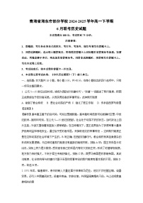 【历史】青海省海东市部分学校2024-2025学年高一下学期6月联考试题（解析版）