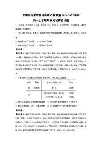 安徽省合肥市普通高中六校联盟2024-2025学年高一上学期期末考试历史试卷（解析版）