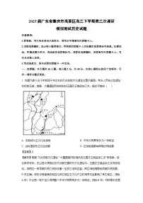 2025届广东省肇庆市高要区高三下学期第三次调研模拟测试历史试卷（解析版）