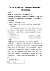 2025届广东省河源市高三下学期毕业班调研模拟测试（三）历史试卷（解析版）