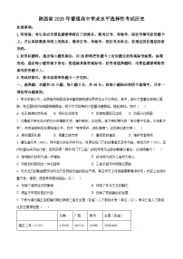 2025年陕西、山西、宁夏、青海四省（陕晋宁青）高考 历史真题试卷 附答案