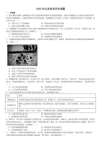 2025年高考真题 江苏历史-试题（含答案）