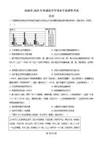 【历史 河南卷】2025年河南省高考招生考试真题历史试卷（真题+答案）