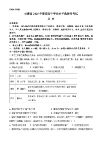 2025年高考真题——历史（云南卷） 含答案