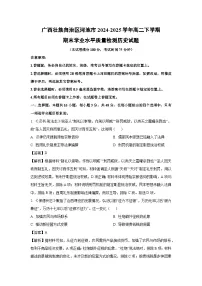 广西壮族自治区河池市2024-2025学年高二下学期期末学业水平质量检测 历史试卷（解析版）