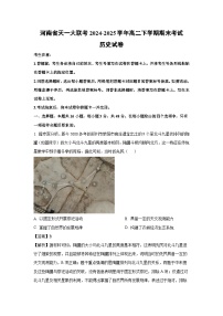 河南省天一大联考2024-2025学年高二下学期期末考试历史试卷（解析版）