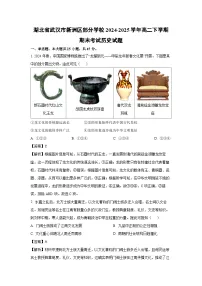湖北省武汉市新洲区部分学校2024-2025学年高二下学期期末考试历史试卷（解析版）