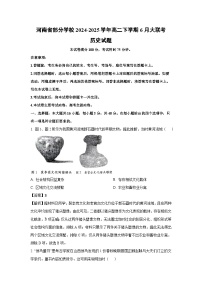 河南省部分学校2024-2025学年高二下学期6月大联考历史试卷（解析版）