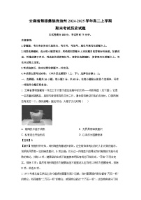 云南省楚雄彝族自治州2024-2025学年高二上学期期末考试历史试卷（解析版）