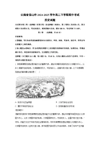 云南省保山市2024-2025学年高二下学期期中考试历史试卷（解析版）