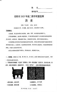 湖南省岳阳市2024-2025学年高二下学期期末考试历史试题（PDF版附解析）