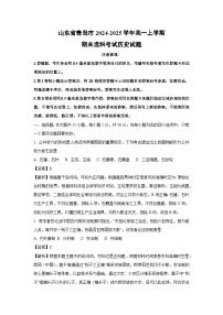 山东省青岛市2024-2025学年高一上学期期末选科考试历史试卷（解析版）