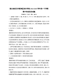 湖北省武汉市新洲区部分学校2024-2025学年高一下学期期中考试历史试卷（解析版）
