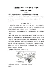 山东省临沂市2024-2025学年高一下学期期中联考历史试卷（解析版）