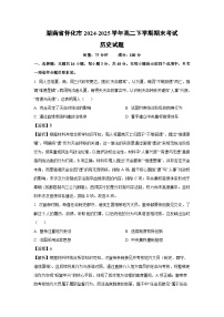 湖南省怀化市2024-2025学年高二下学期期末考试历史试卷（解析版）