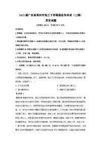 2025届广东省高州市高三下学期适应性考试（二模）历史试卷（解析版）