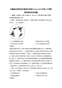 安徽省合肥市部分省级示范高中2024-2025年高二下学期期末联考历史试卷（解析版）