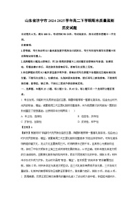山东省济宁市2024-2025学年高二下学期期末质量监测历史试卷（解析版）