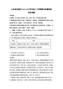 山东省济南市2024-2025学年高二下学期期末质量检测历史试卷（解析版）