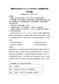 内蒙古巴彦淖尔市2024-2025学年高二下学期期末考试历史试卷（解析版）