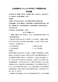 山东省德州市2024-2025学年高二下学期期末考试历史试卷（解析版）