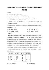 河北省辛集市2024-2025学年高二下学期期末教学质量监测历史试卷（解析版）