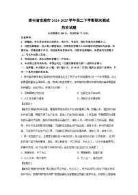 贵州省安顺市2024-2025学年高二下学期期末测试历史试卷（解析版）