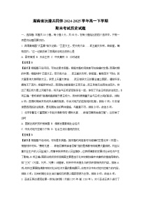 湖南省沅澧共同体2024-2025学年高一下学期期末考试历史试卷（解析版）