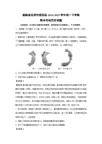 湖南省岳阳市湘阴县2024-2025学年高一下学期期末考试历史试卷(解析版)