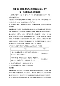 安徽省合肥市普通高中六校联盟2024-2025学年高一下学期期末联考历史试卷(解析版)