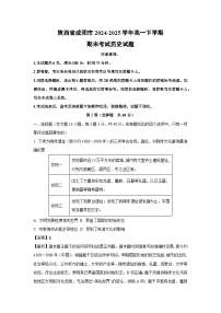 陕西省咸阳市2024-2025学年高一下学期期末考试 (1)历史试卷（解析版）