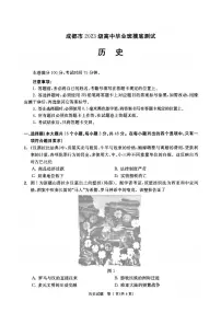 四川省成都市2026届高三上学期摸底考试（零诊）历史试卷（PDF版附答案）