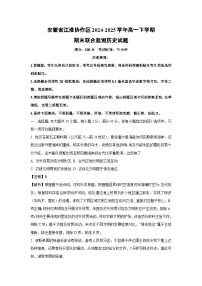 安徽省江淮协作区2024-2025学年高一下学期期末联合监测历史试卷（解析版）