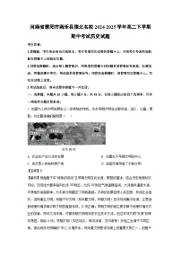 河南省濮阳市南乐县豫北名校2024-2025学年高二下学期期中真题考试历史试卷（解析版）