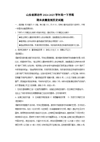 山东省潍坊市2024-2025学年高一下学期期末质量监测历史试卷（解析版）