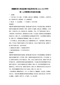 新疆维吾尔自治区喀什地区英吉沙县2024-2025学年高一上学期期末考试历史试卷（解析版）
