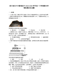 四川省巴中市普通高中2024-2025学年高一下学期期末学情检测历史试题（解析版）