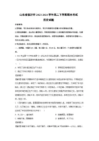 山东省临沂市2023-2024学年高二下期末考试历史试卷（解析版）