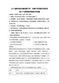 2025届陕西省安康高新中学、安康中学高新分校联考高三下学期模拟预测历史试卷（解析版）