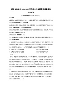 湖北省仙桃市2024-2025学年高二下学期期末质量监测历史试卷（解析版）
