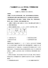 广东省肇庆市2024-2025学年高二下学期期末考试历史试卷（解析版）