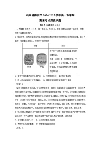 山东省德州市2024-2025学年高一下学期期末考试历史试卷（解析版）