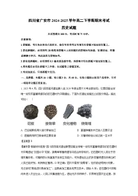 【历史】四川省广安市2024-2025学年高二下学期期末考试试题（解析版）