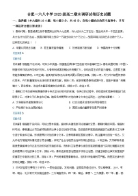 安徽省合肥市一六八中学2024-2025学年高二下学期期末考试历史试题（Word版附解析）
