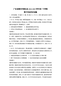 广东省惠州市惠东县2024-2025学年高一下学期期中考试历史试卷（解析版）