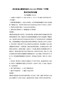 四川省凉山彝族自治州2024-2025学年高一下学期期末考试历史试卷（解析版）